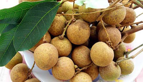 Những sai lầm cần tránh khi ăn quả nhãn