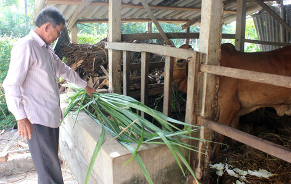 Nguoi thuong binh lam giau tu soi da 2